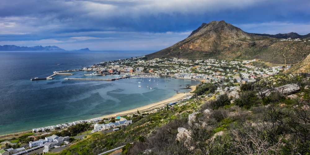 Private Shuttle from Cape Town to Simons Town