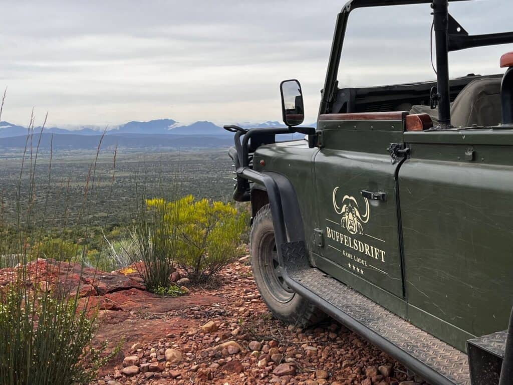 Activities You Can Enjoy at Buffelsdrift Game Lodge