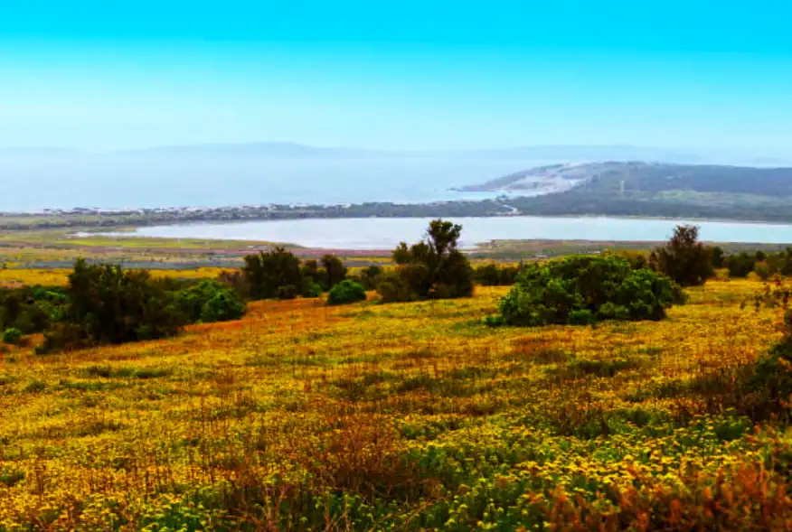 Best Time to Visit the West Coast National Park
