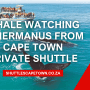 Whale Watching In Hermanus From Cape Town Private Shuttle 90x90
