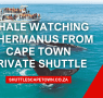 Whale Watching In Hermanus From Cape Town Private Shuttle 95x90
