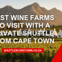 Best Wine Farms To Visit With A Private Shuttle From Cape Town 90x90