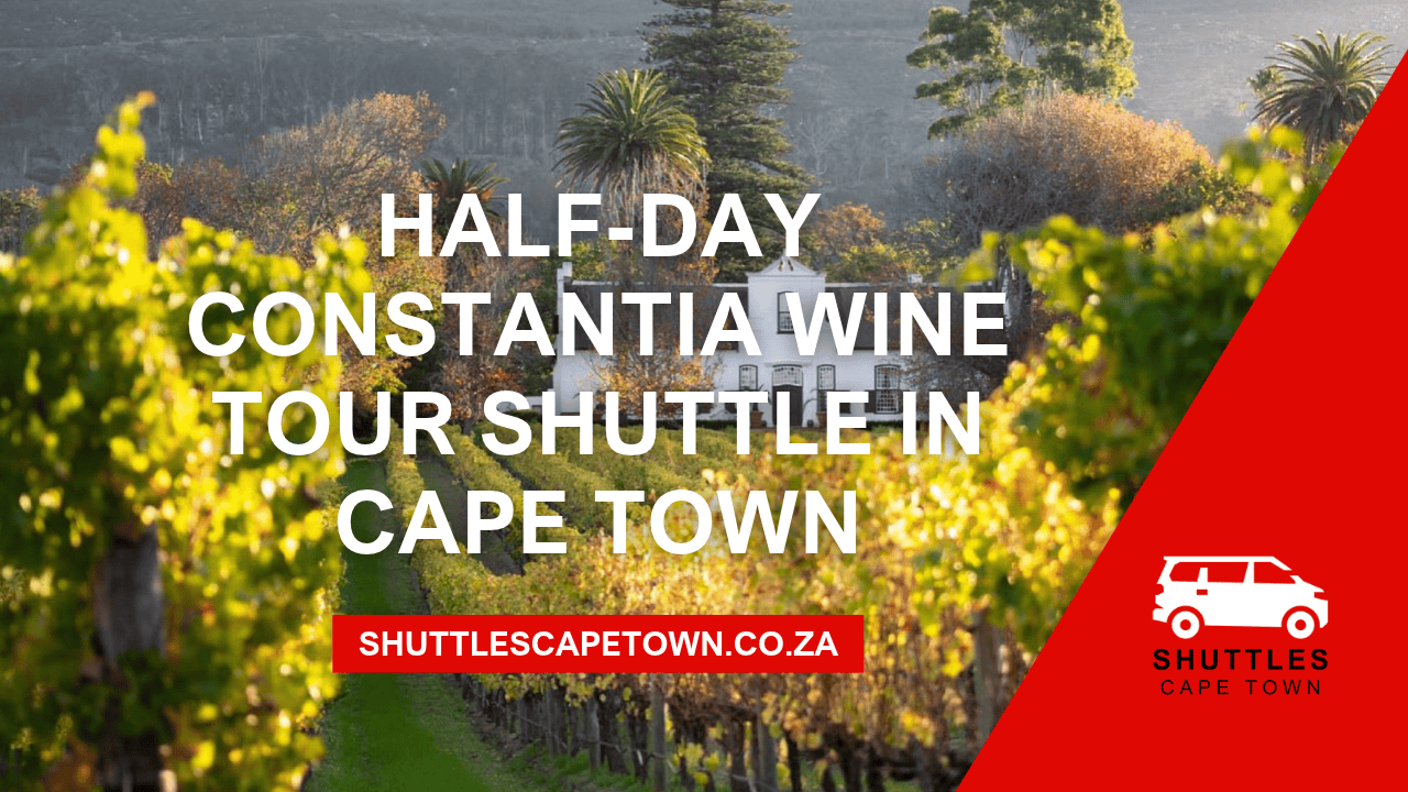 Half-Day Constantia Wine Tour