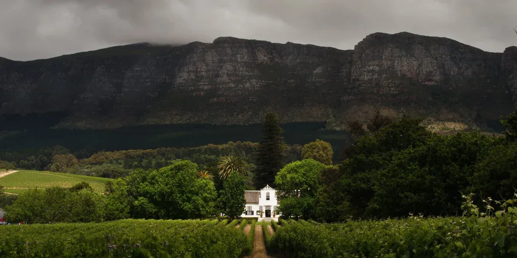 Overview of the Half-Day Wine Tour